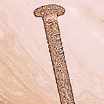 Eigensinnig schreiben: Handwerkerinnen, Selbstständige, Selfpublisher