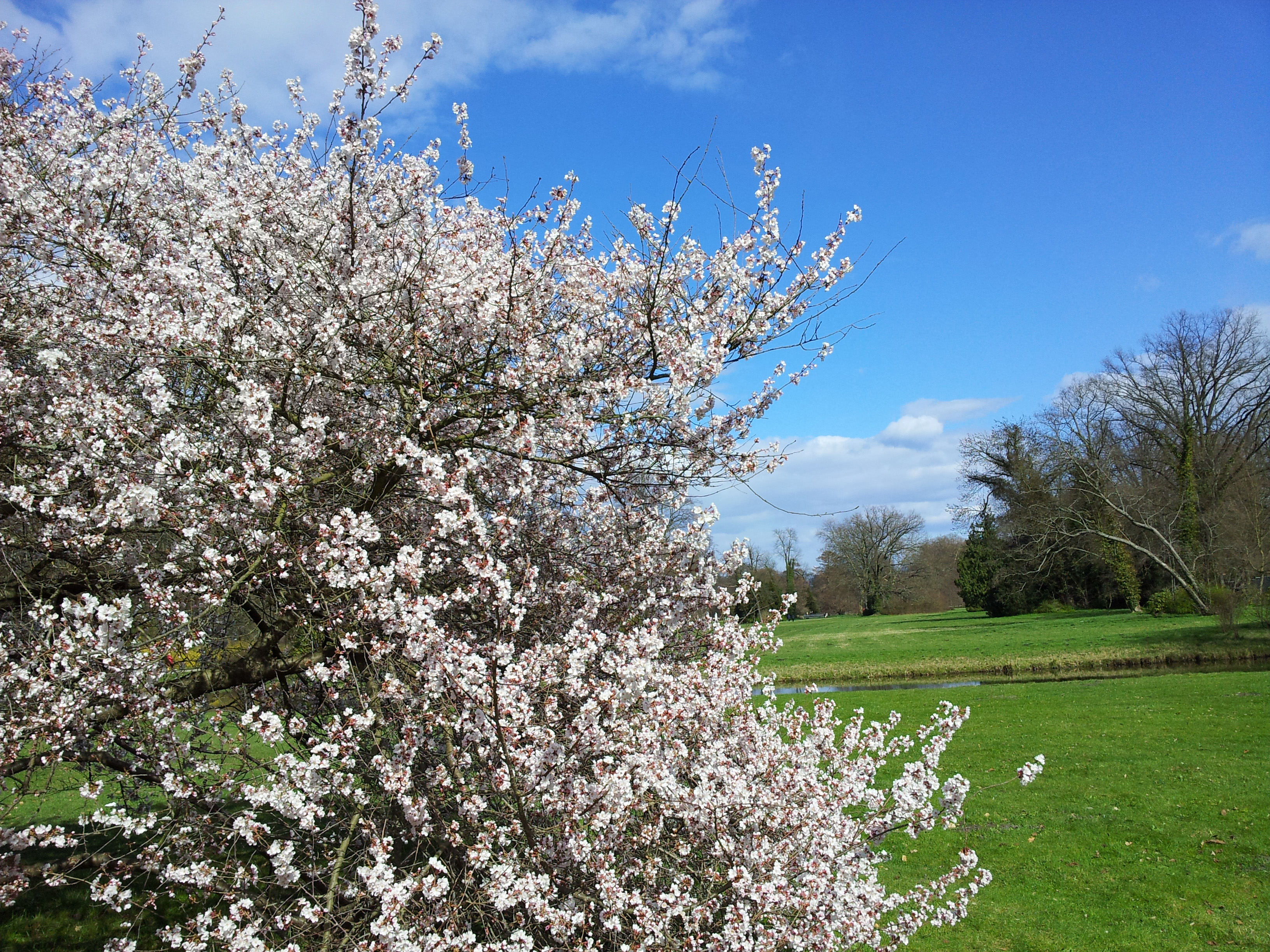 Frühling! Zeit für österliche Kunsthandwerkermärkte allerorten.