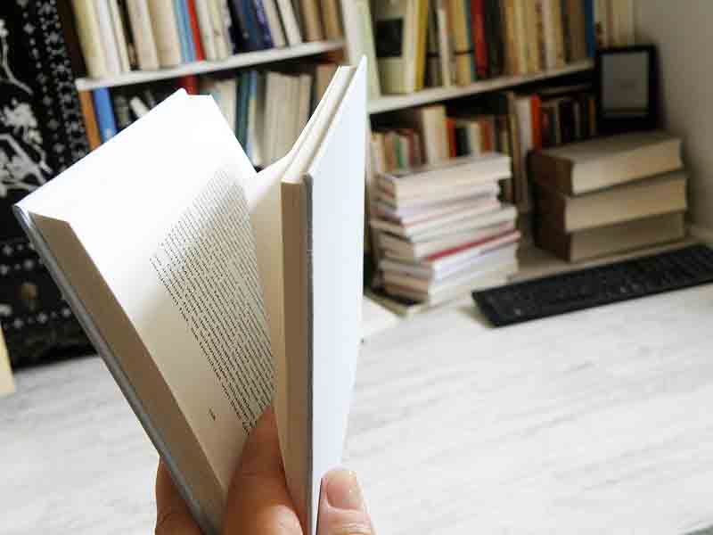 Ganz wichtiger Tipp für Selbstständige: Bücher für Experten! Bild: aufgeschlagenes Buch in der Hand